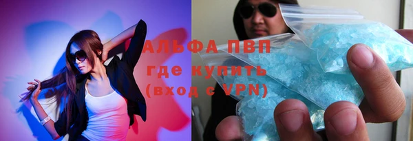 трава Белокуриха