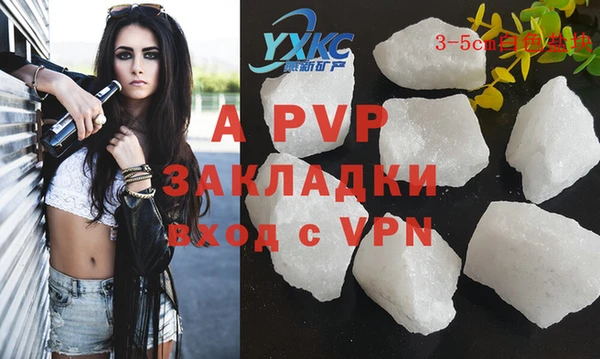 трава Белокуриха