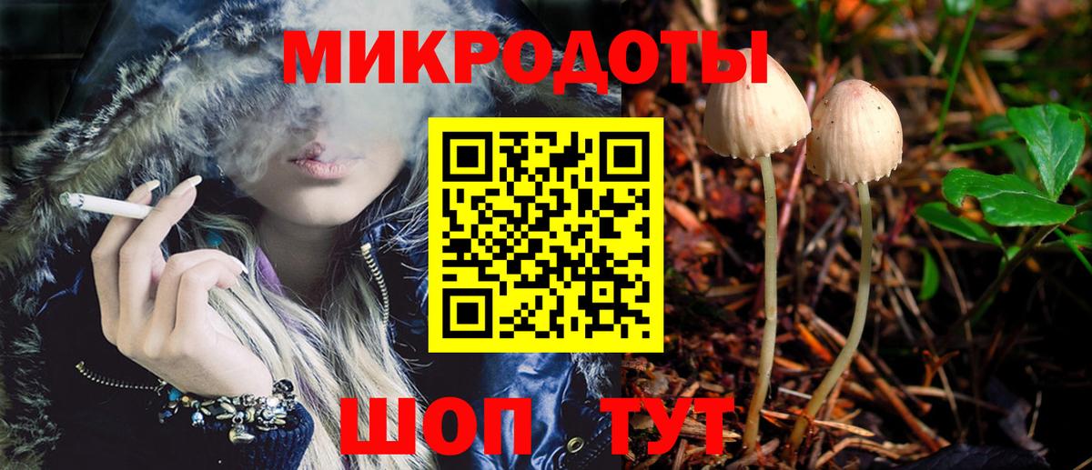 Горно-Алтайск  Псилоцибиновые грибы Psilocybine cubensis  Вход с VPN 