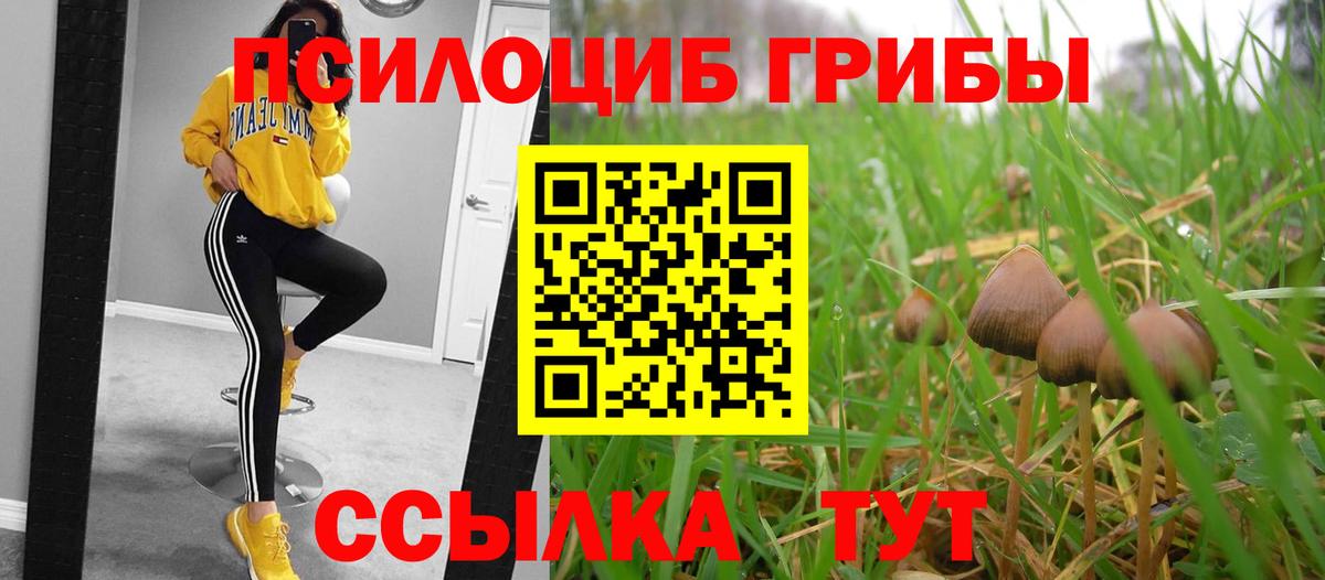 Псилоцибиновые грибы GOLDEN TEACHER Горно-Алтайск